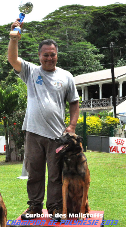 Champion de Polynésie 2013 de chien de défense